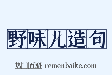 野味儿造句是什么意思的图片